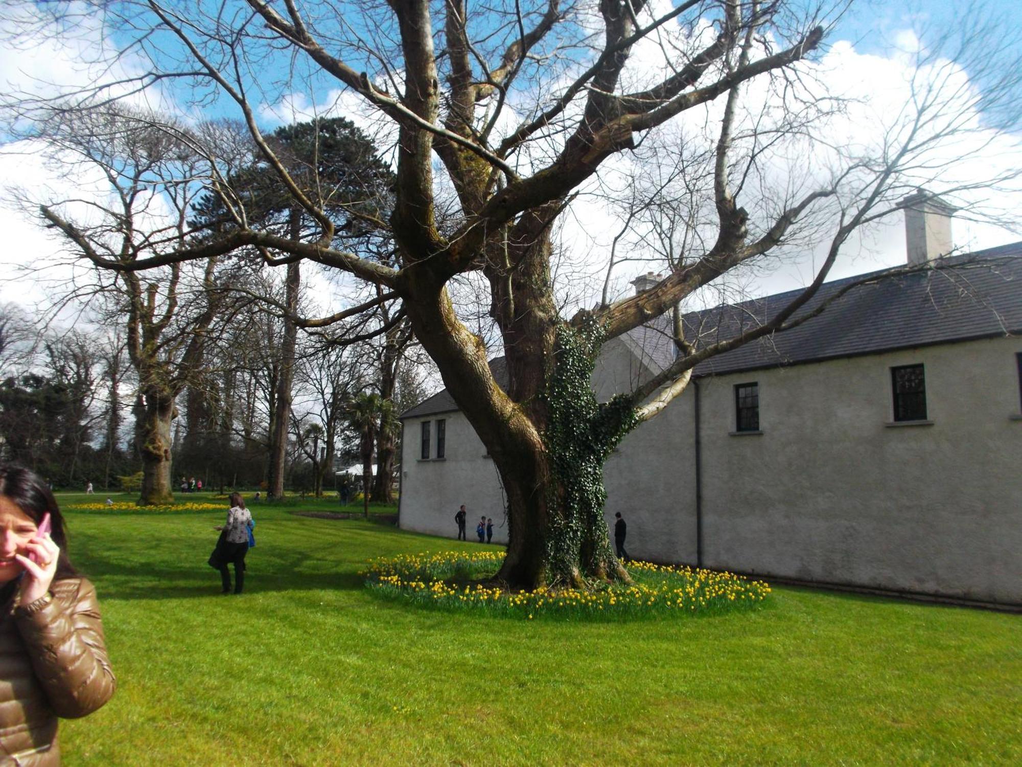 Kerry Holiday Homes At The Killarney Holiday Village Exterior photo
